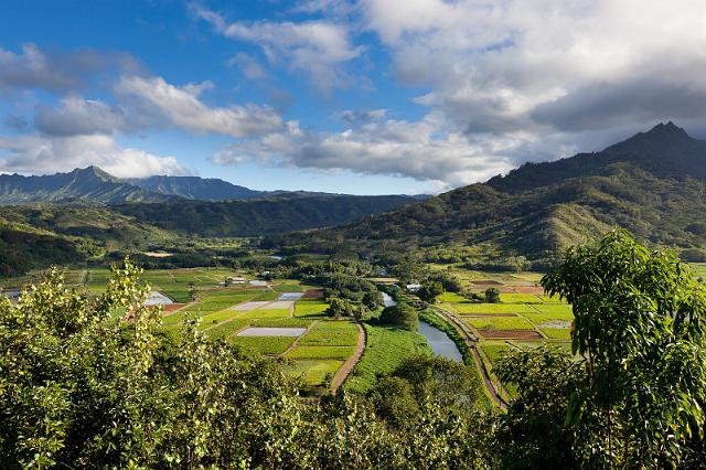 086 Kauai, Hanalei Valley.jpg